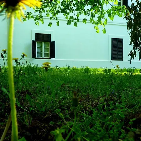 Bed & Breakfast Uszogi Batthyany Kastely *